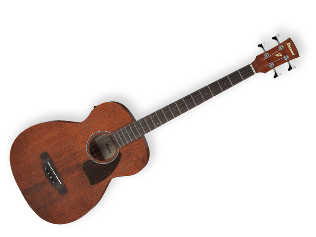 Ibanez PCBE12MH-OPN — Bajo Electroacustico Ibanez Okume Mate