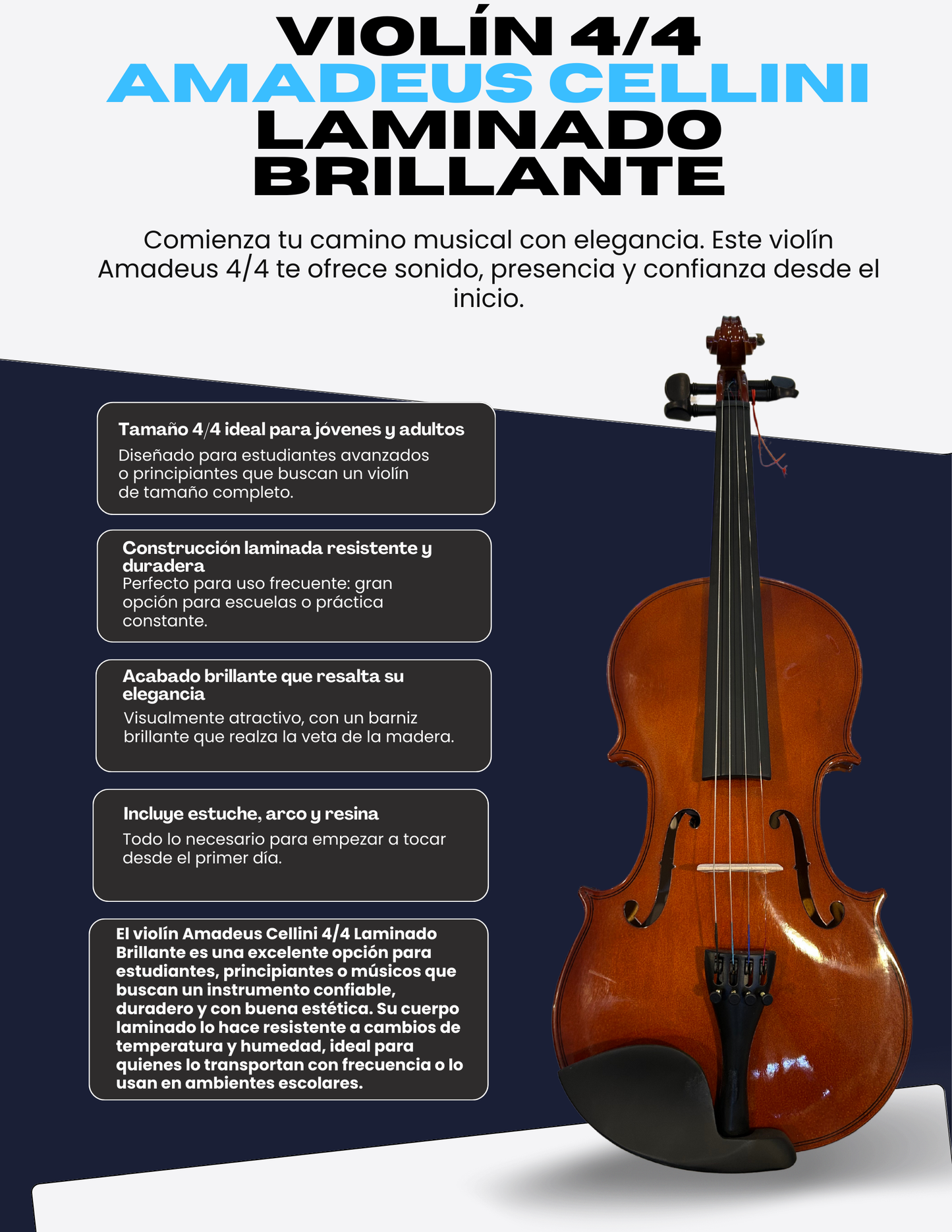 Violin 4/4 Amadeus Cellini Laminado Brillante