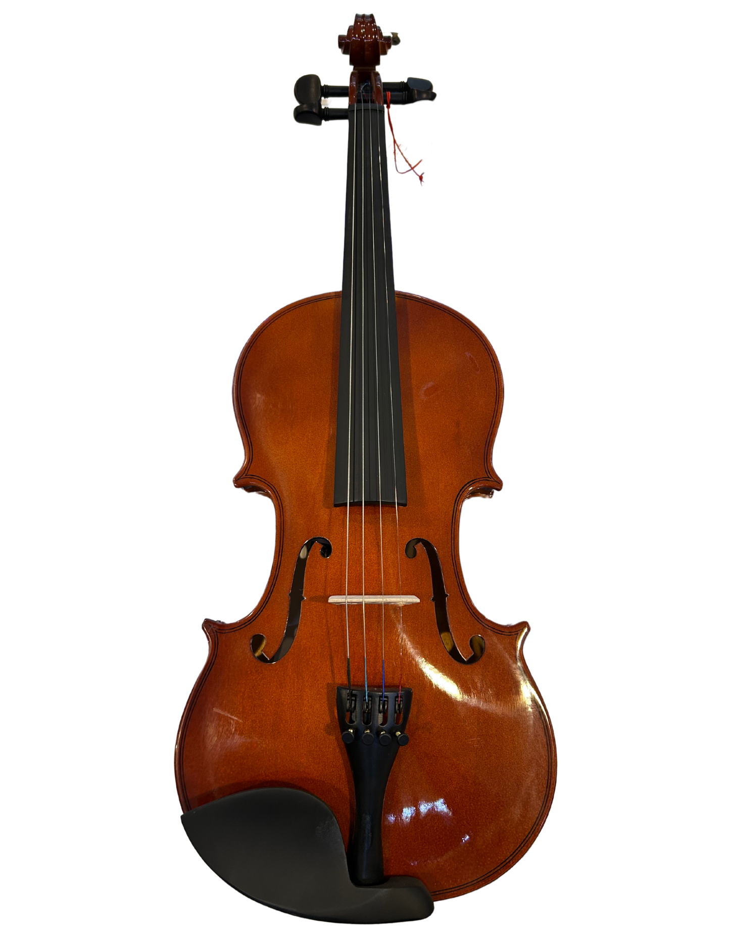 Violin 4/4 Amadeus Cellini Laminado Brillante