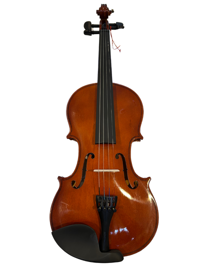 Violin 4/4 Amadeus Cellini Laminado Brillante