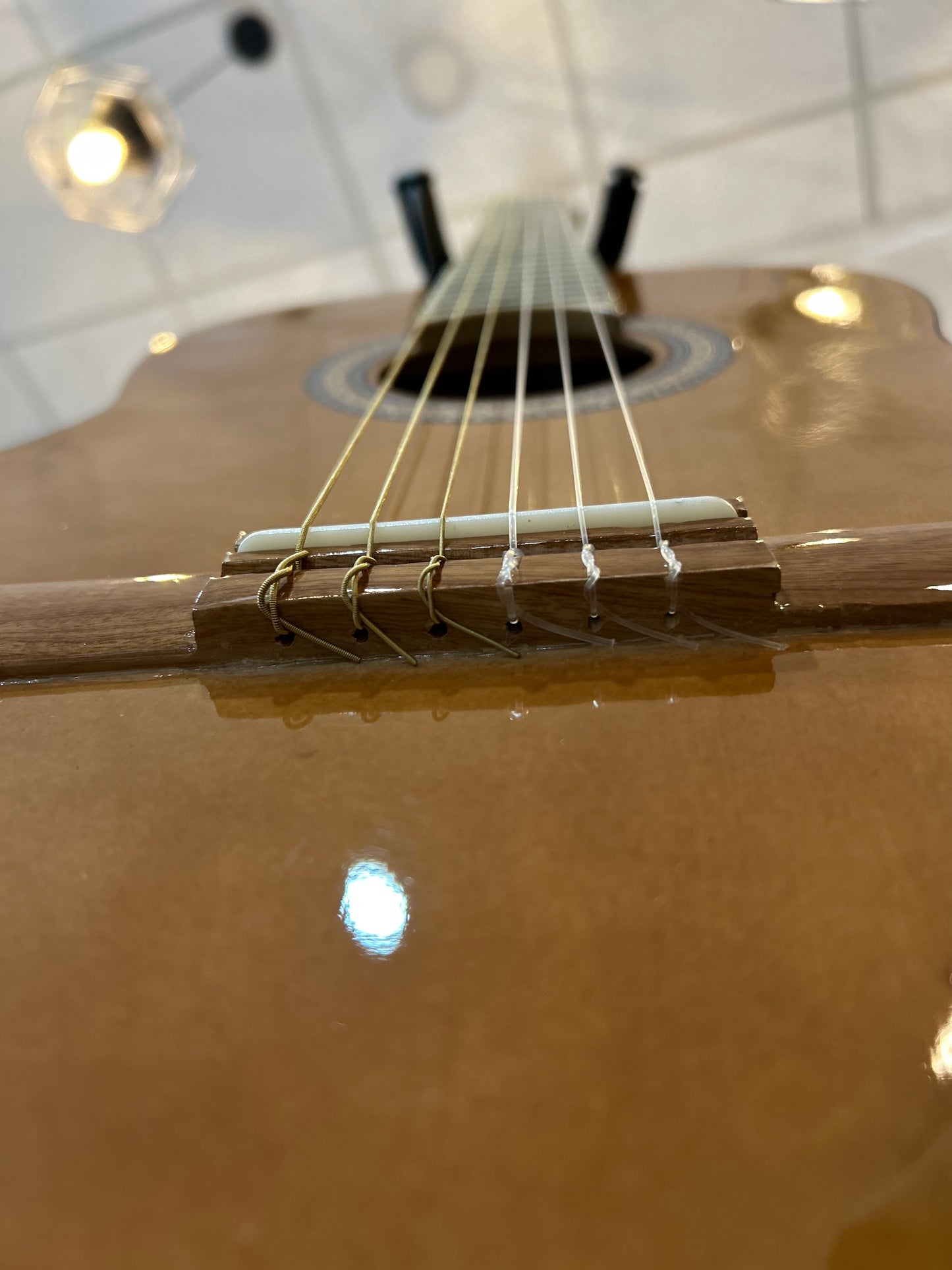 Guitarra Curva Palma Clasica Cg