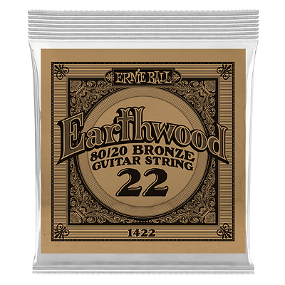 Cuerda Suelta Ernie Ball Guitarra Acústica Earthwood Bronce .022
